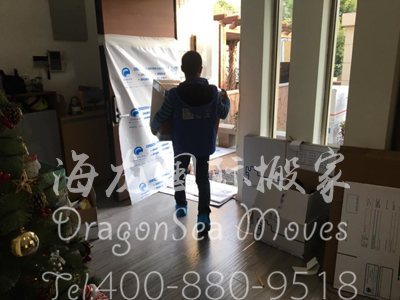 新加坡国际运输