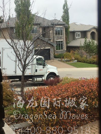 搬运家具到新西兰