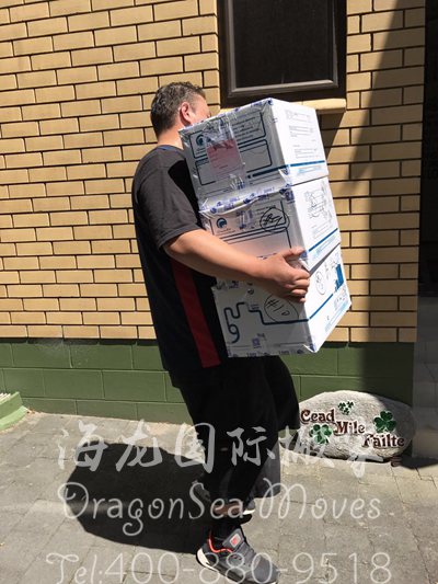 到德国海运价格