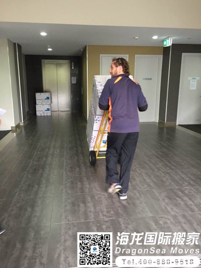 到德国海运价格