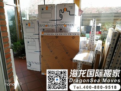 德国国际运输有哪些公司