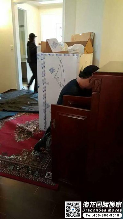 移民搬家去新西兰有哪些公司？