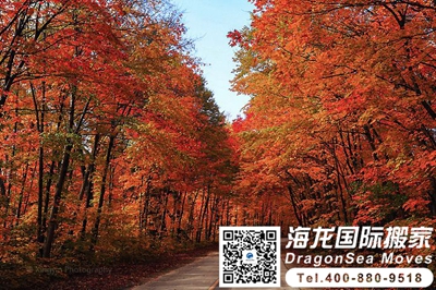 加拿大国际搬家到中国
