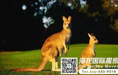 澳大利亚家具海运到大陆