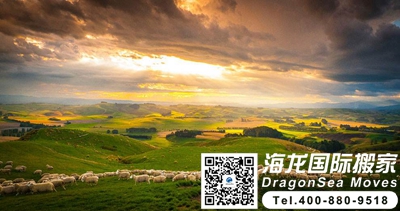 国际海运到新西兰要多久