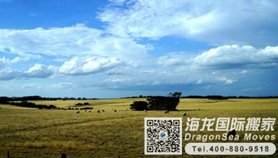 澳大利亚海运门到门回内地
