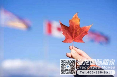 国际海运运费查询