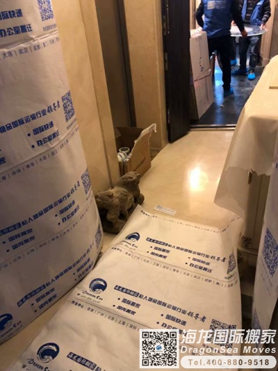 北京私人物品运输到美国