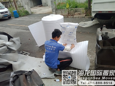 新加坡到上海物流