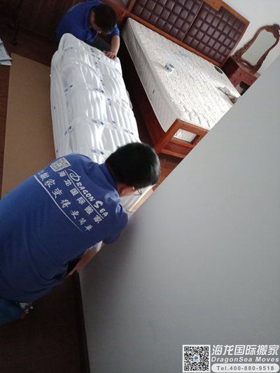 新西兰家具国际海运回上海