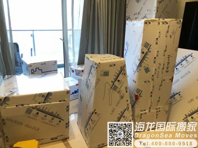 深圳海运物品去鹿特丹