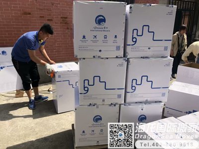 武汉海运行李到鹿特丹