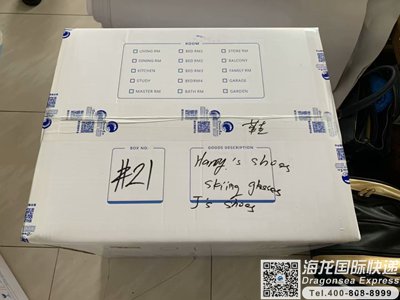 从武汉市国际快递邮寄到新加坡