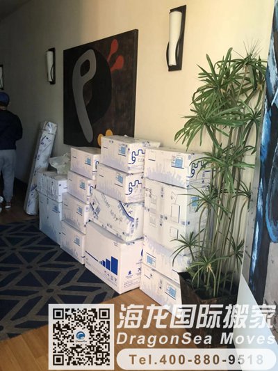 杭州移民搬家到鹿特丹