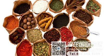 从沈阳市国际快递邮寄到加拿大