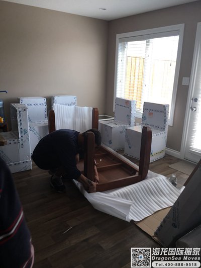 上海市移民搬家海运到鹿特丹